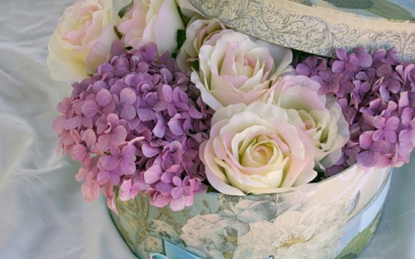 Цветы в ведре