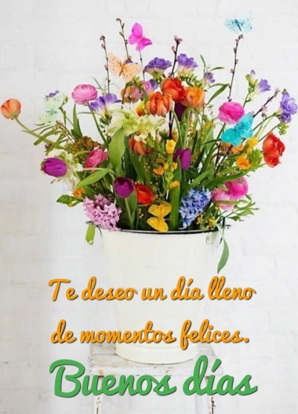 Красивое ведро для цветов