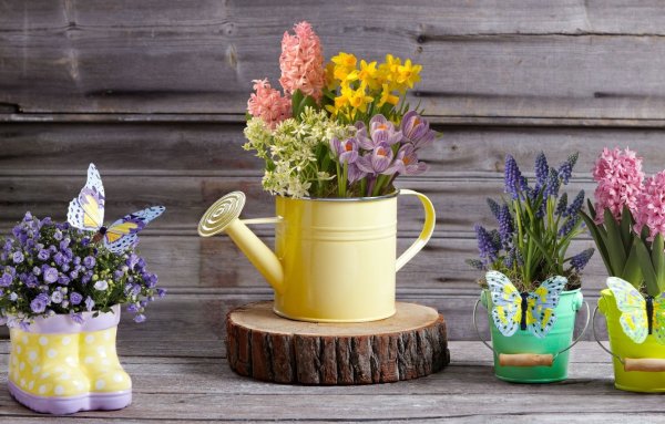 Цветочная композиция в лейке