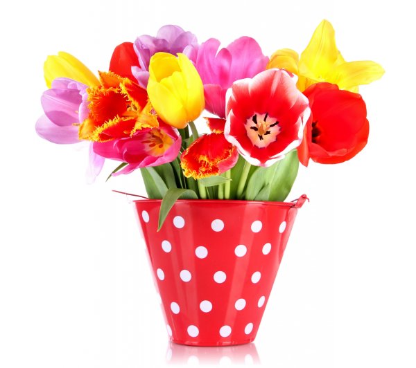 Яркие весенние цветы