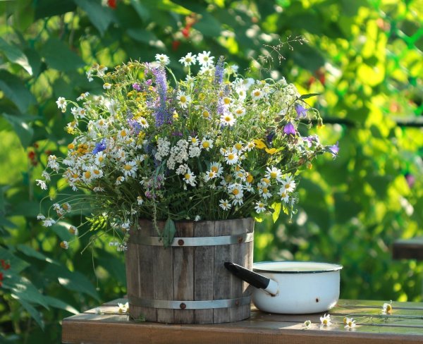 Полевые цветы в ведре