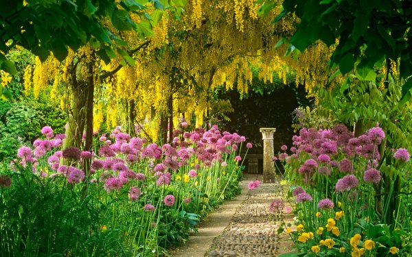 Сад с цветами