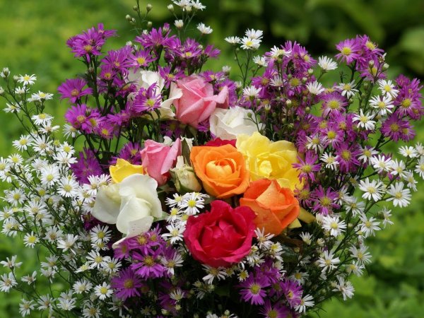 Летний букет