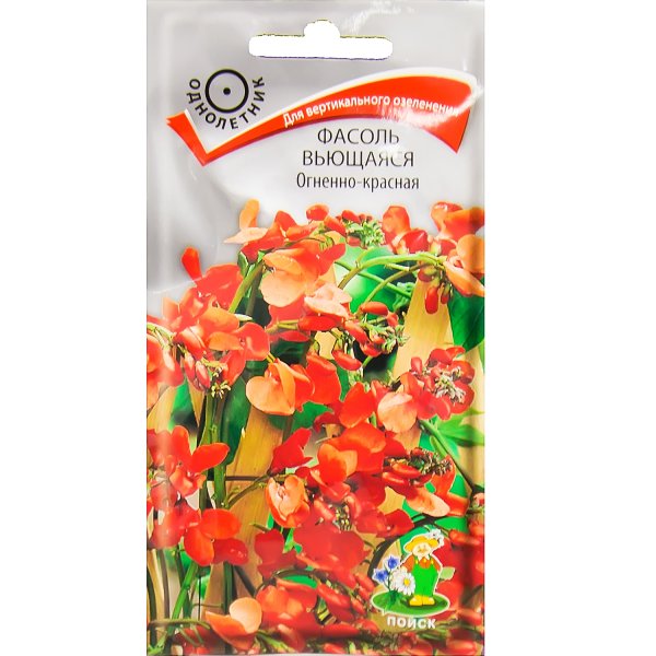 Фасоль вьющаяся огненно-красная семена Алтая