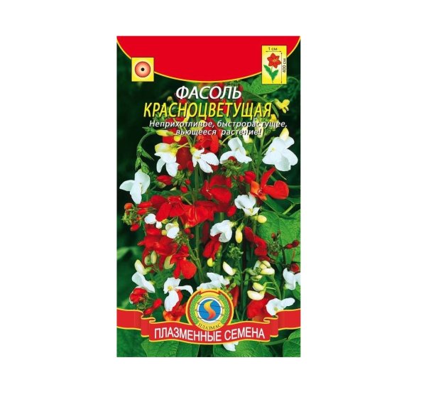 Лиана фасоль декоративная