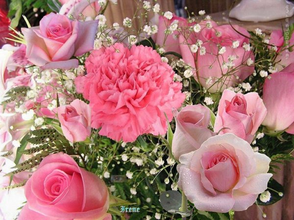 Красивые цветочки для Дочки