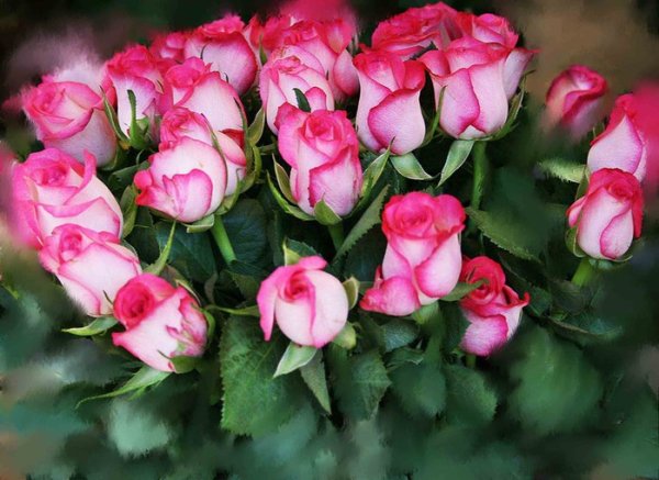 Цветы для любимой