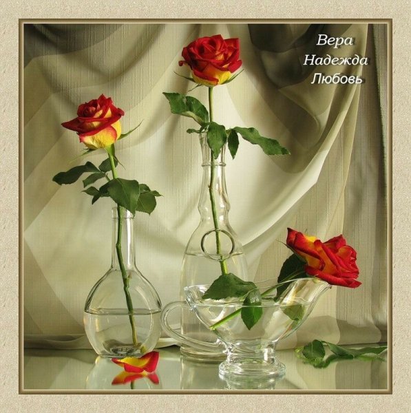 Красивые цветы для веры