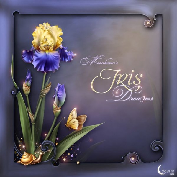 С днем рождения