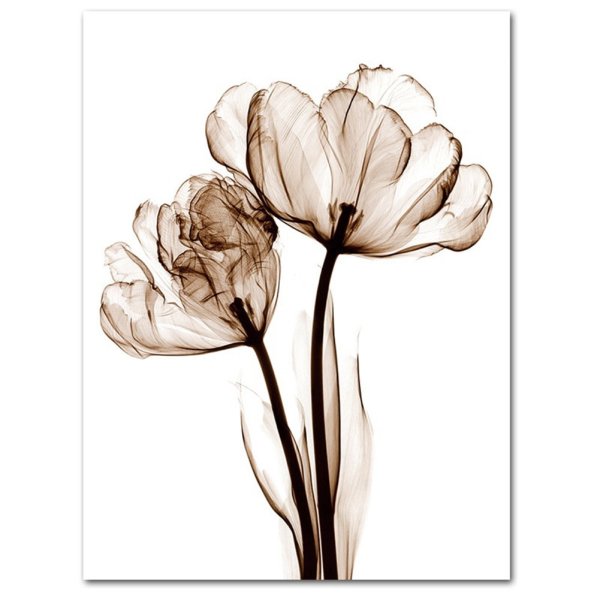 Постер "цветы"