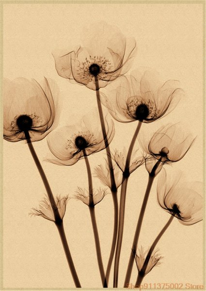 Постер серые цветы