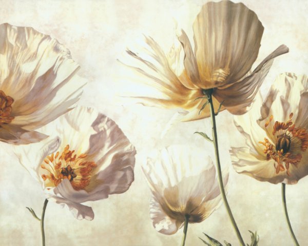 Картина бежевые тона