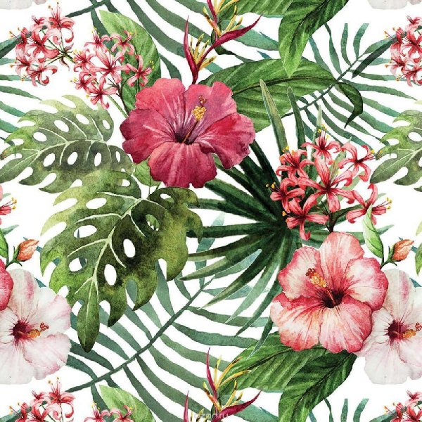 Тропические цветы картины