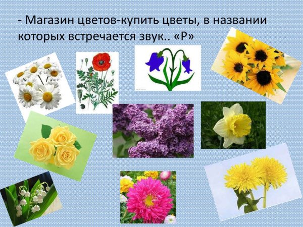 Цветы со звуком л