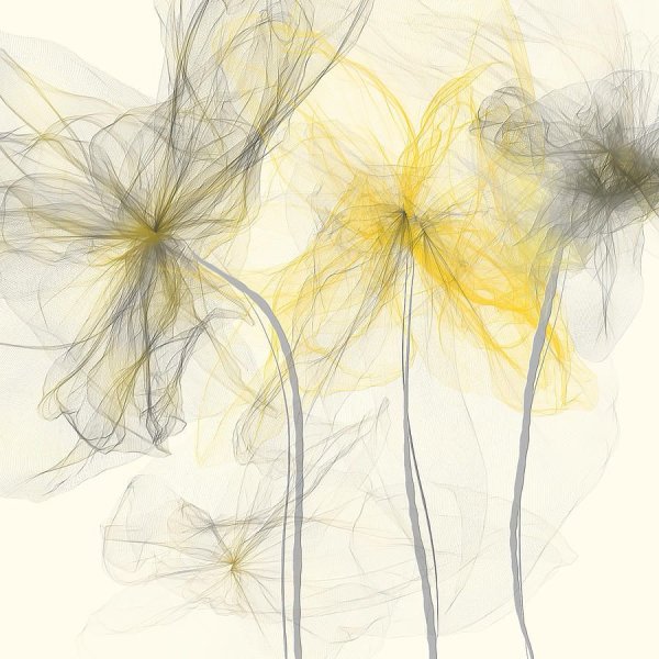 Черно белые картины