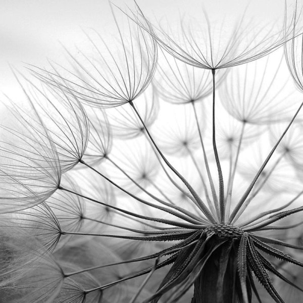 Эми Джадд Amy Judd картины