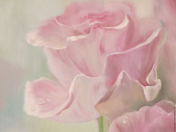 Винтажные пионы для декупажа