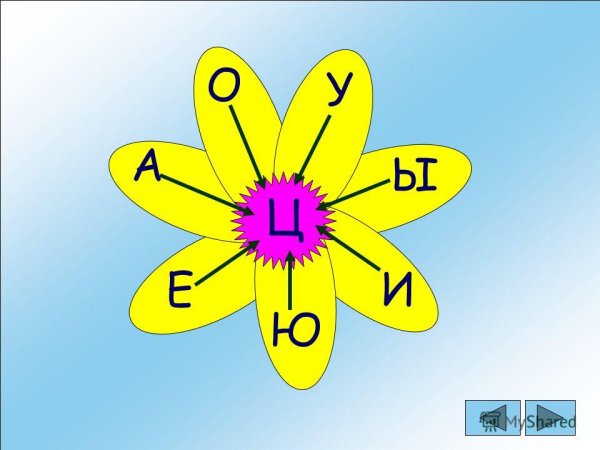 Автоматизация ц в слогах и словах