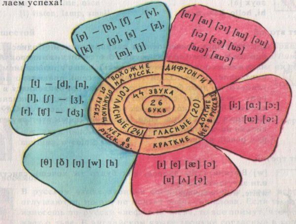Звуковая Ромашка по английскому