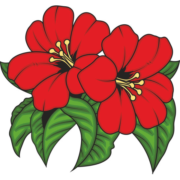 Яркие цветы для вырезания