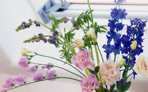 Изящные цветы