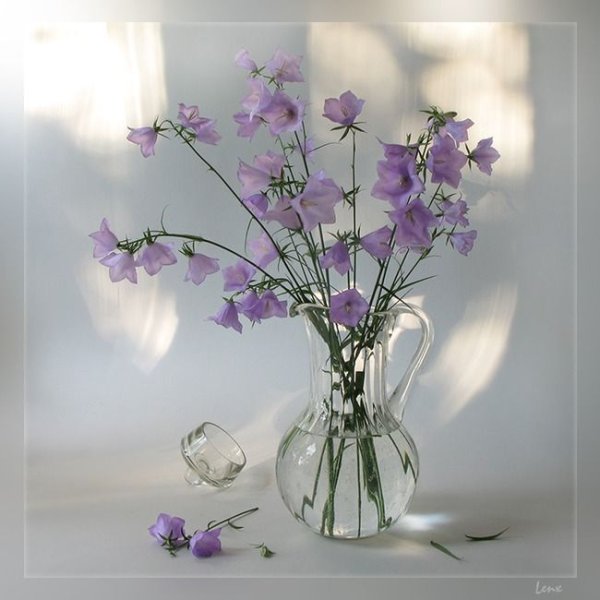 Цветы в вазе