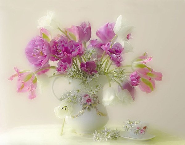 Открытки нежные цветы