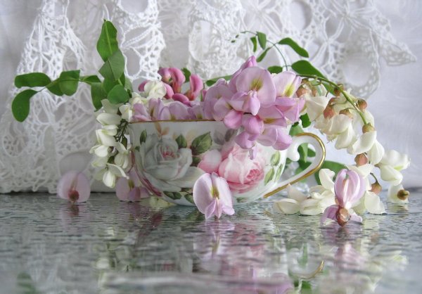 Очень нежные цветочки