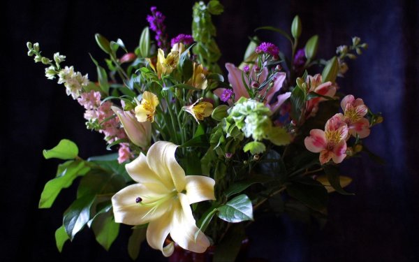 Изысканные цветы