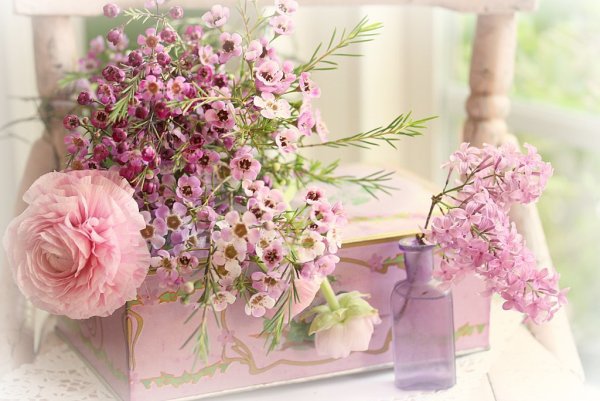 Нежный цветок