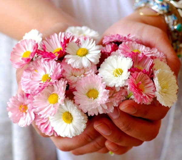 Букетик цветов в ладошках