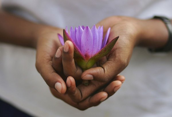 Цветочек в руке