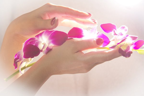 Роза в руке