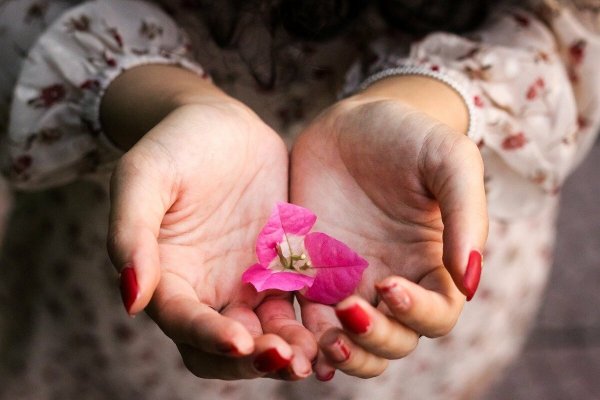 Белые цветы в руках