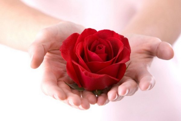 Счастье в руках