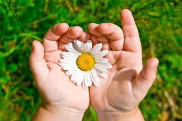 Цветы в ладонях