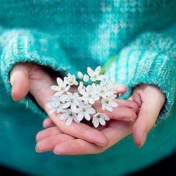 Ромашка на ладони