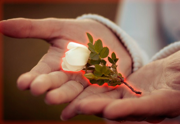 Руки цветы сердце