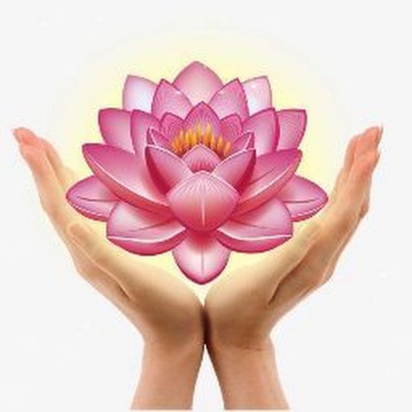 Красивые цветы в руках