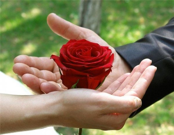 Цветы в ладошках