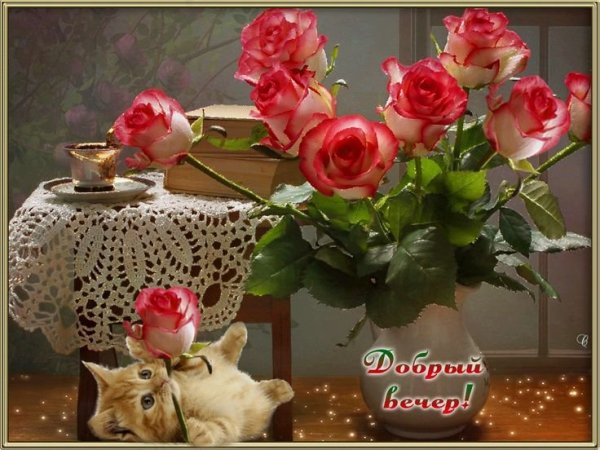 Уютного вечера и прекрасного настроения