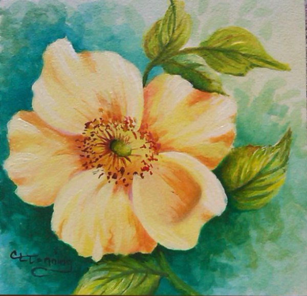 Картинки цветов нарисованные красками