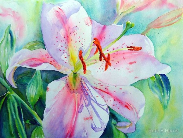 Цветы гуашью