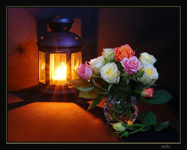 Красивого вечера