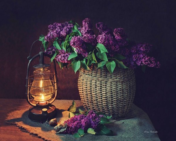 Вечер букет цветов уют