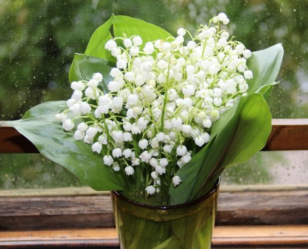 Букетик ландышей