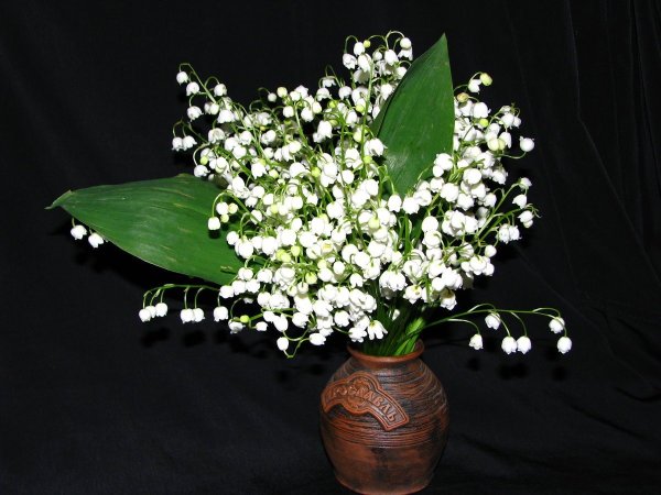 Букетик ландышей