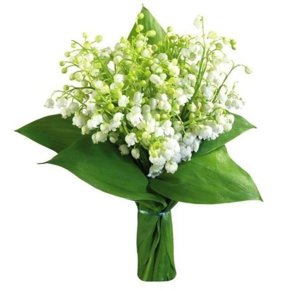 Цветы Ландыши букет