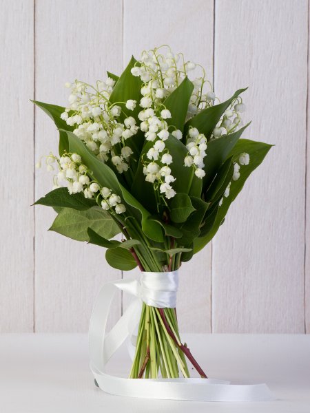 Ландыши Ландыши цветы