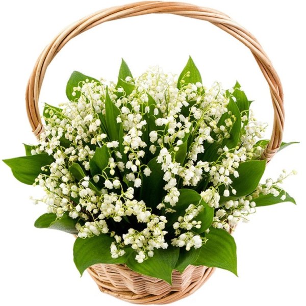 Ландыши в корзинке